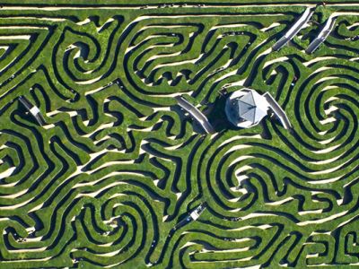 Longleat-maze.jpg