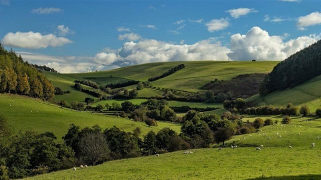 Presteigne-view.jpg