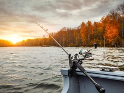英国钓鱼攻略：钓鱼许可，法律和相关信息