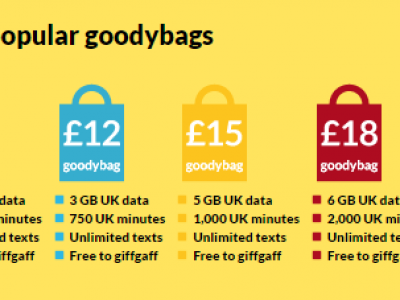 goodybag.png